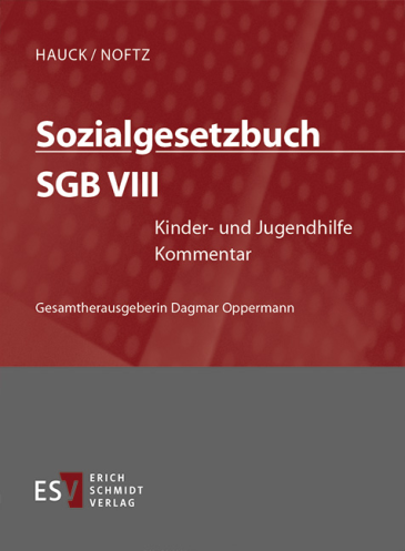  Sozialgesetzbuch (SGB) VIII: Kinder- und Jugendhilfe